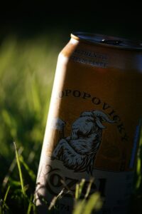 Can Donald Trump deploy the National Guard whenever he likes?