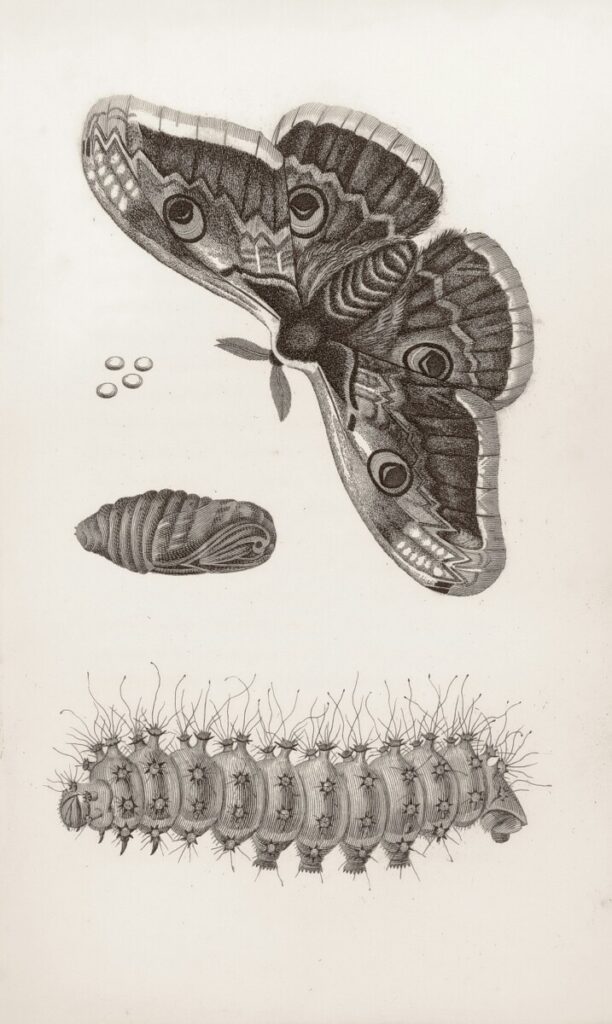 Libellous chatbots could be AI’s next big legal headache