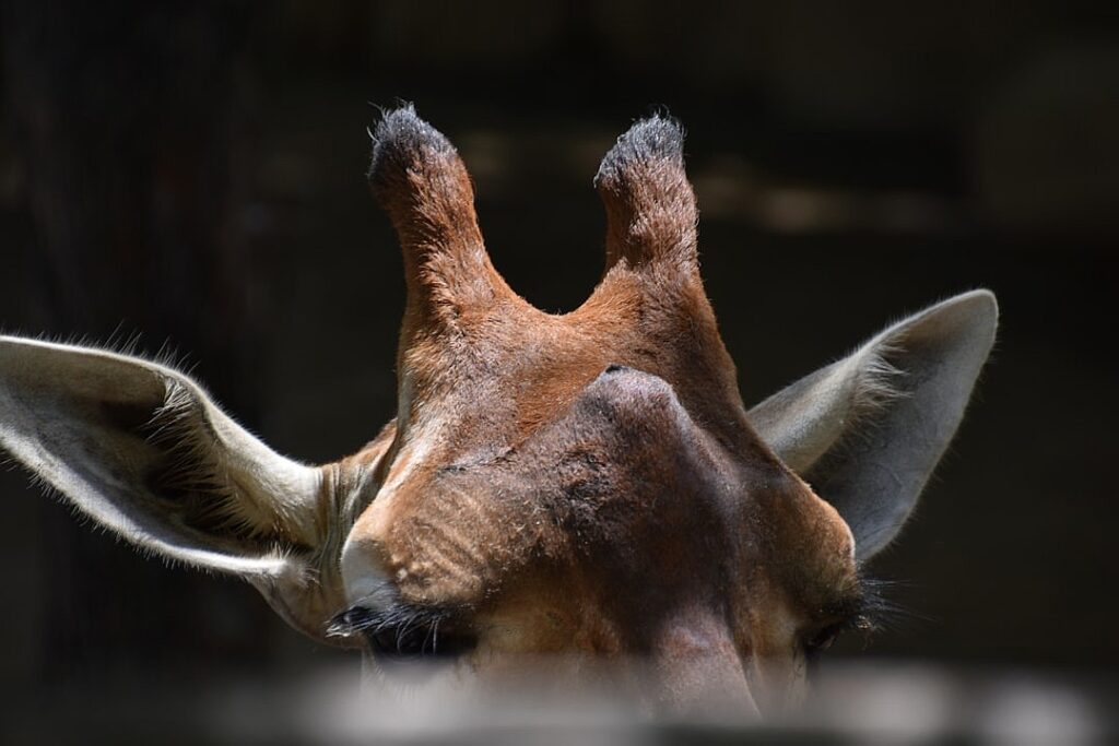 One of the poorest states in America introduces free child care