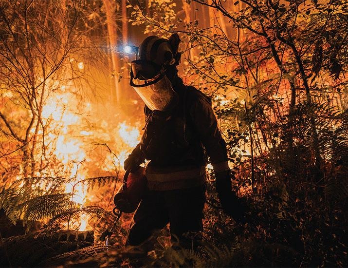 Align wildfire prevention with conservation | Science