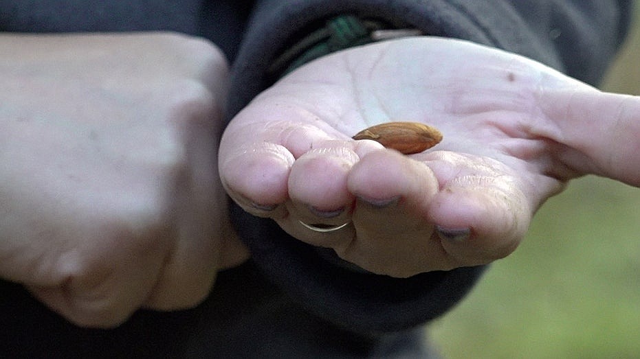 California farmers push back on Prop 50 as Democrats eye new House map