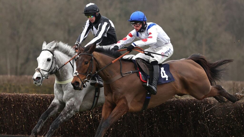 Scorpio Rising makes Handicap debut for Bowen and Murphy