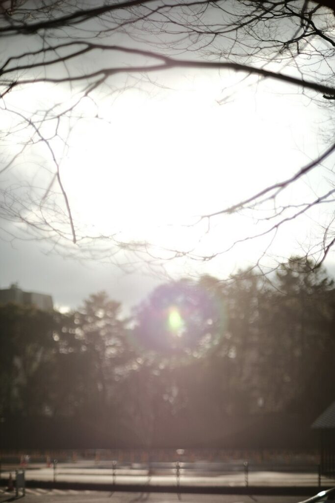 Despite claims, foreign students have not yet been put off America