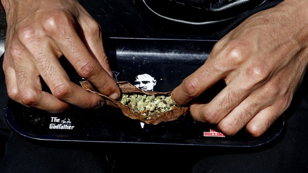 ‘Trump effect’ raises hopes for cannabis rally as investors bet on federal reforms, softer marijuana stance