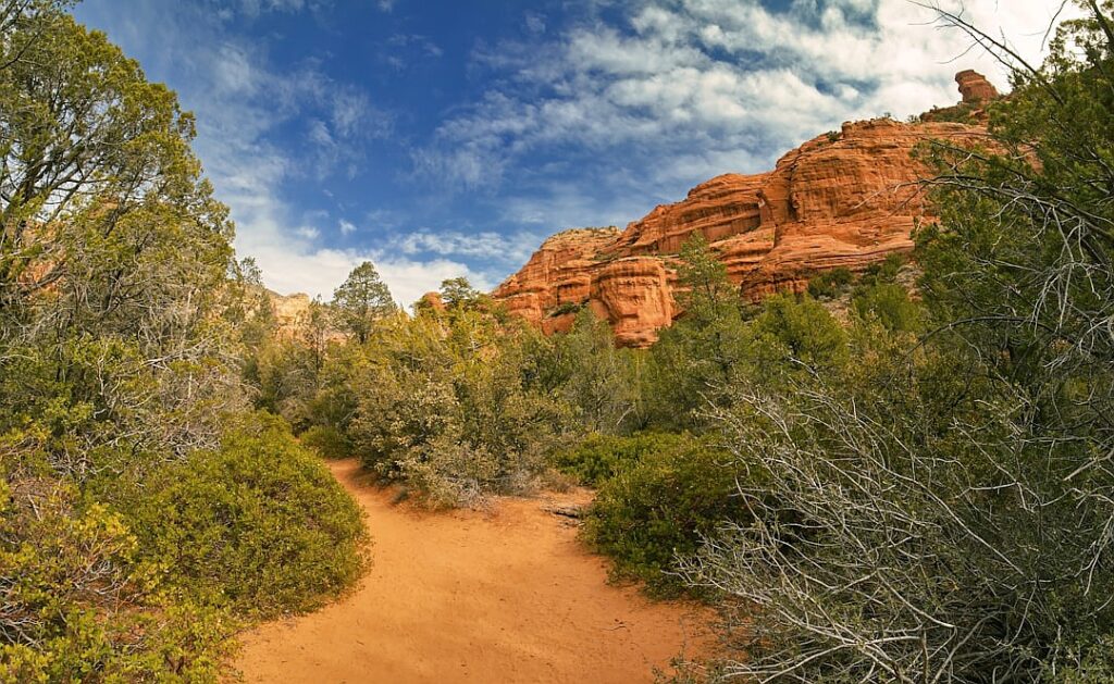 Which is India’s superstar state?