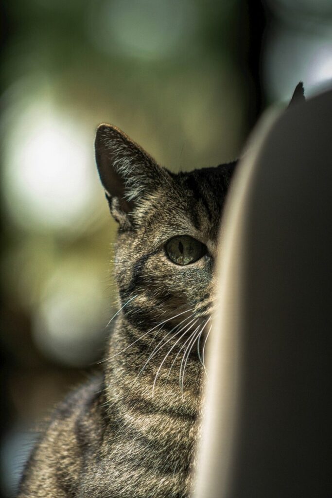 Interest rates will fall in 2026. But will bond yields fall, too?