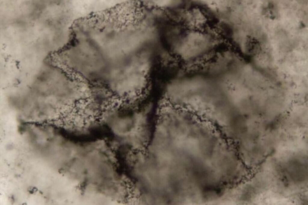 AI Uncovers Evidence of Life in 3.3-Billion-Year-Old Rocks
