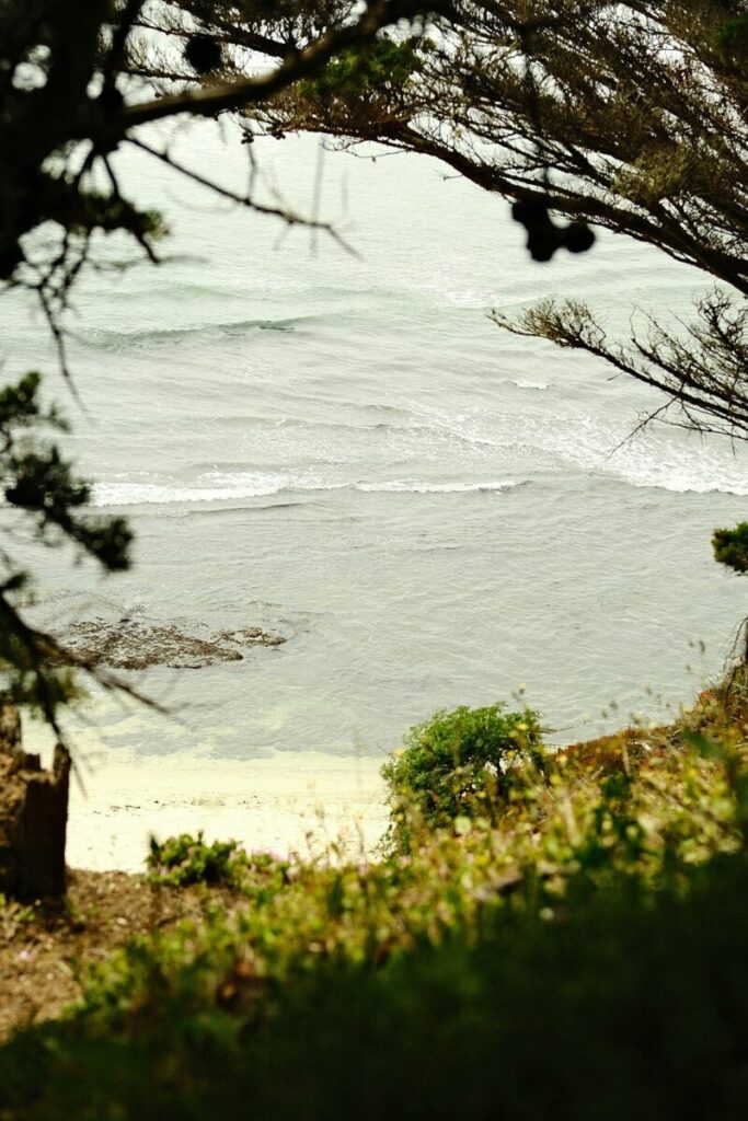 Half a century after the death of Franco, Spain is a far better place