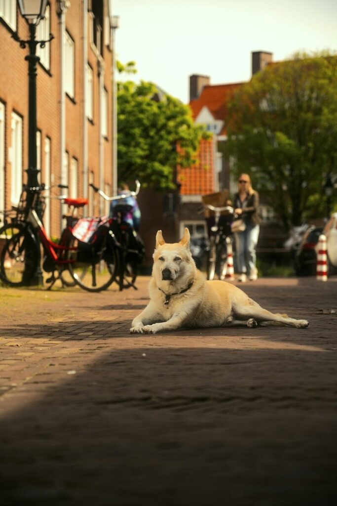 The hidden risks in Taiwan’s boom