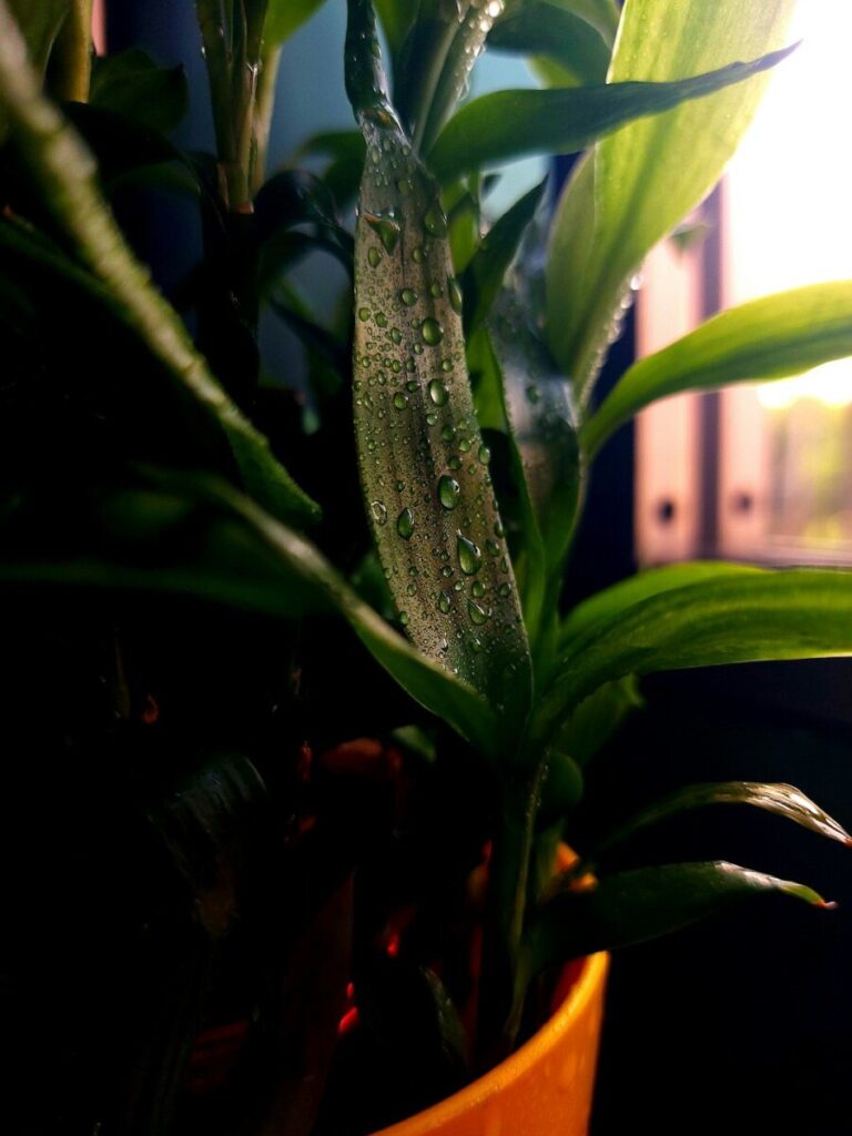 Four charts explain why Donald Trump is in trouble