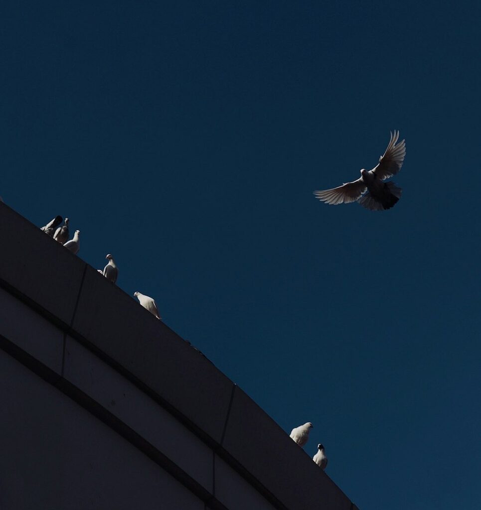 The dollar depreciation society: why Taiwan likes its currency weak