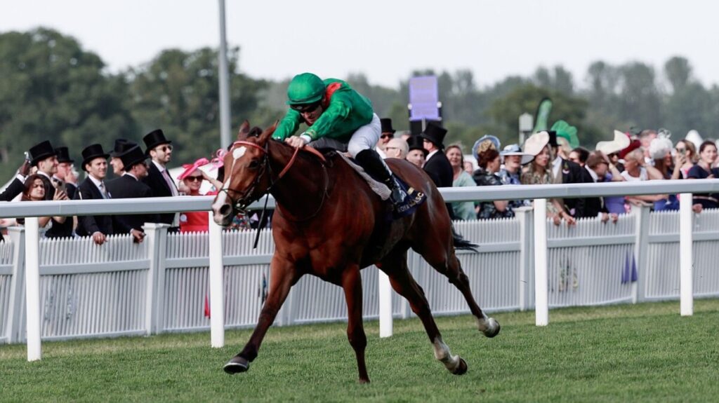 Calandagan crowned Cartier Horse of the Year