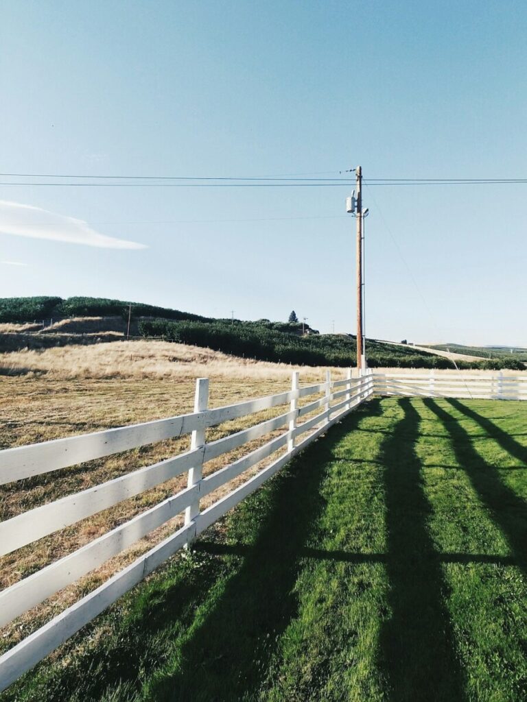 The Dogs of 8,000 B.C. Were Amazingly Diverse