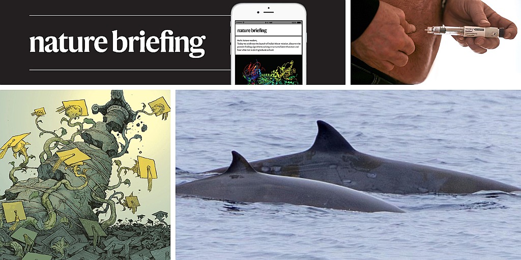 Daily briefing: This whale has been spotted alive in the wild for the first time ever