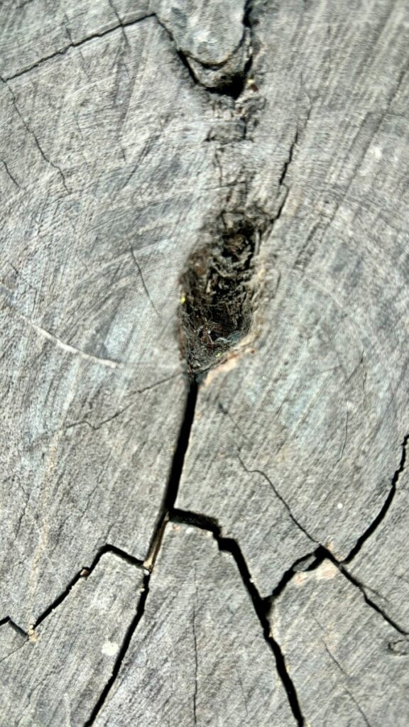 Cracks are appearing in OpenAI’s dominant facade