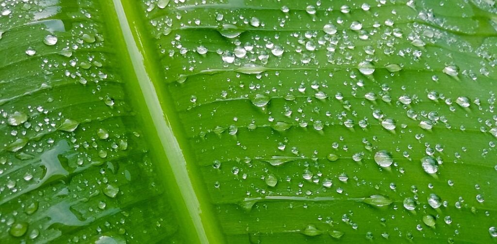 Cover Story newsletter: How markets could topple the economy