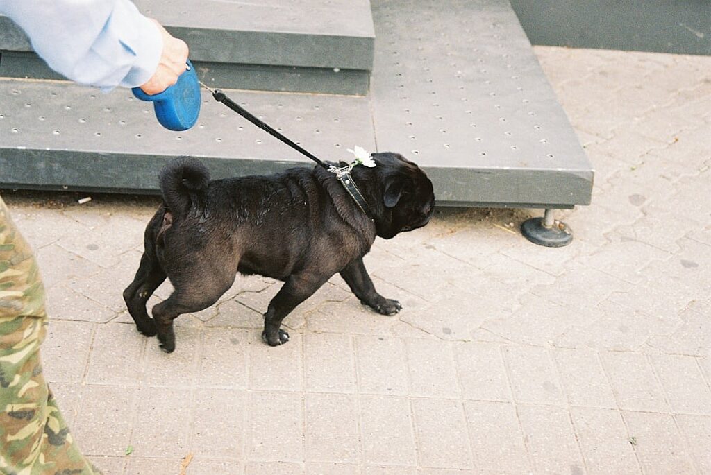 President Trump’s mass deportation campaign is just getting started