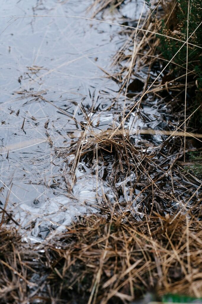 Trust us, not America, China tells Asia