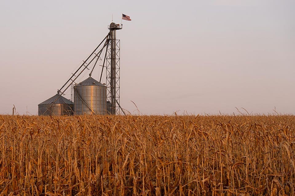 The U.S. Bioeconomy: From Farm To Factory — A Generational Opportunity
