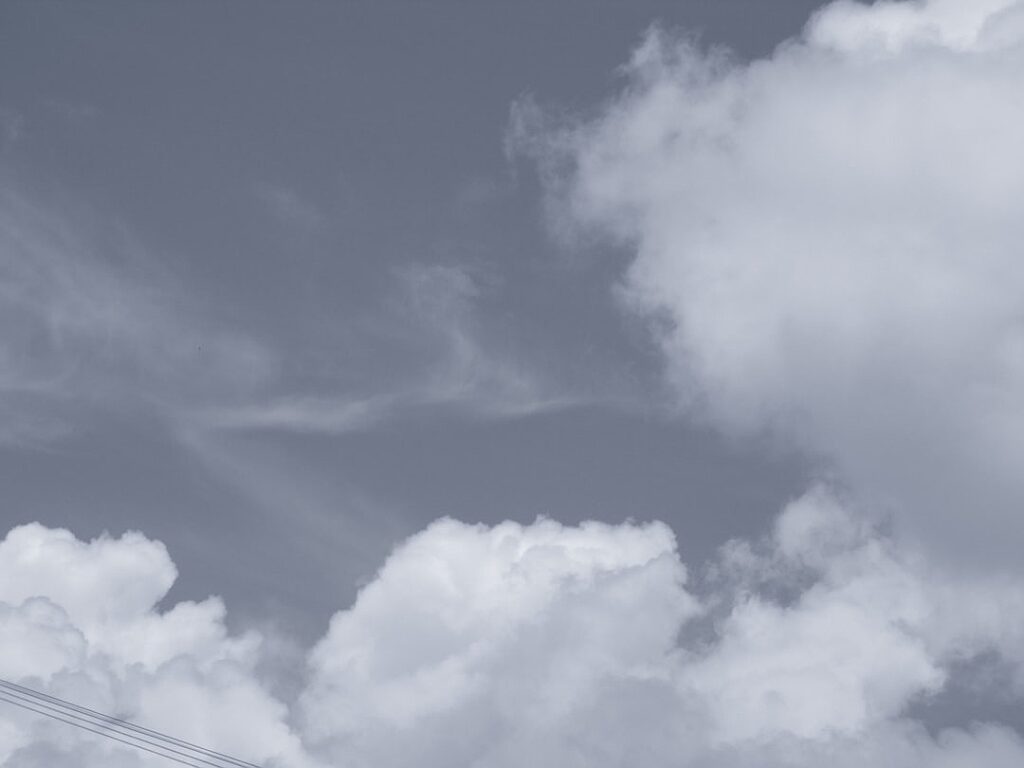 Overlooked No More: Sabina Spielrein, Visionary Lost Between Freud and Jung