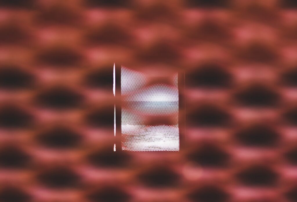 The use of a rare wood pits violinists against environmentalists