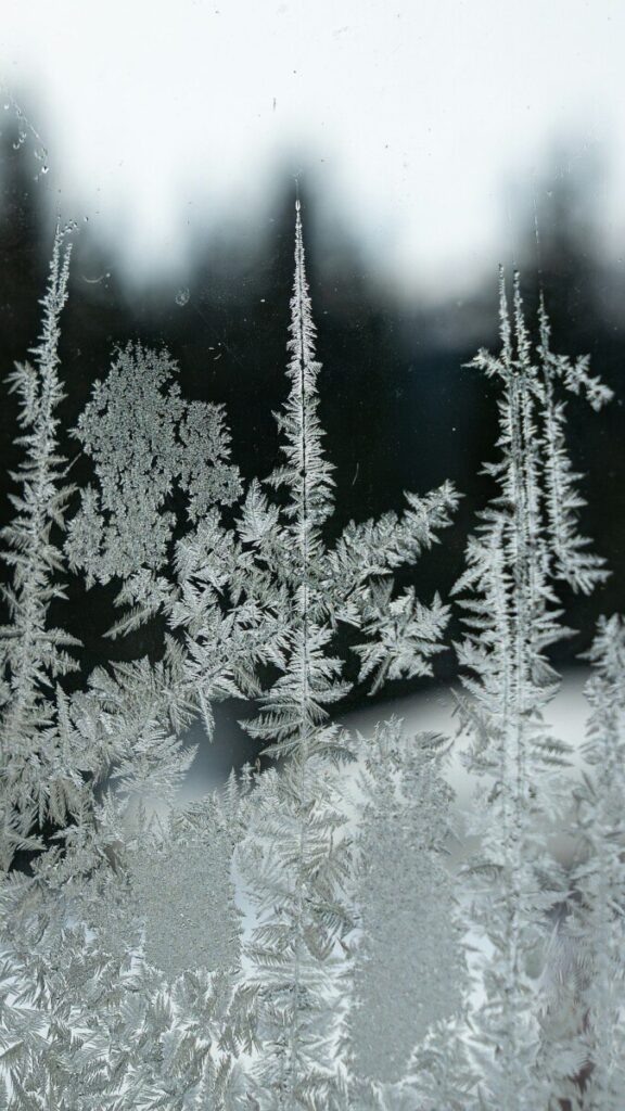 ICE show: how Donald Trump is creating his own police force