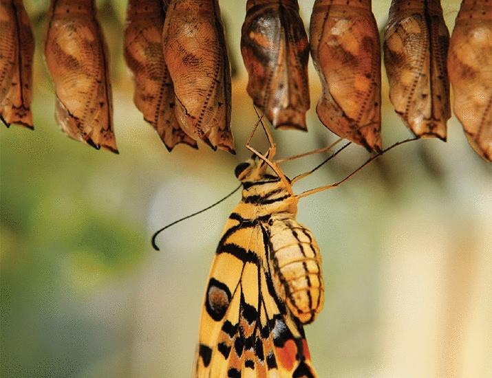 An ode to change | Science