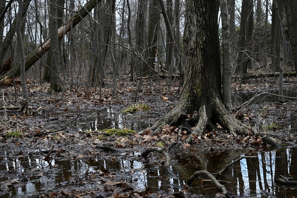 Bogged down in Ukraine, Russia is meddling elsewhere