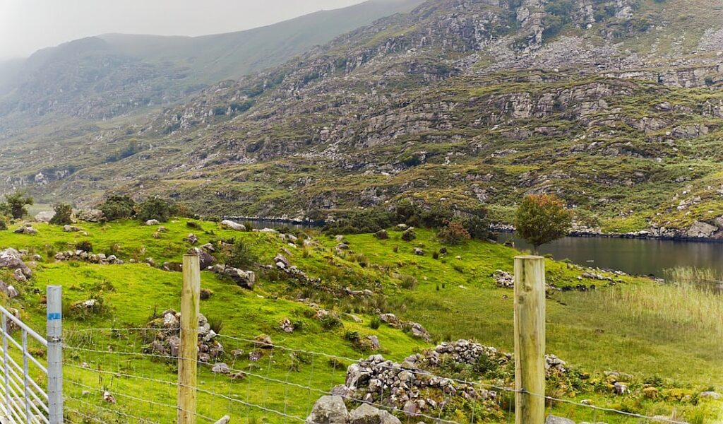 How do you replace a CEO like Tim Cook or Warren Buffett?