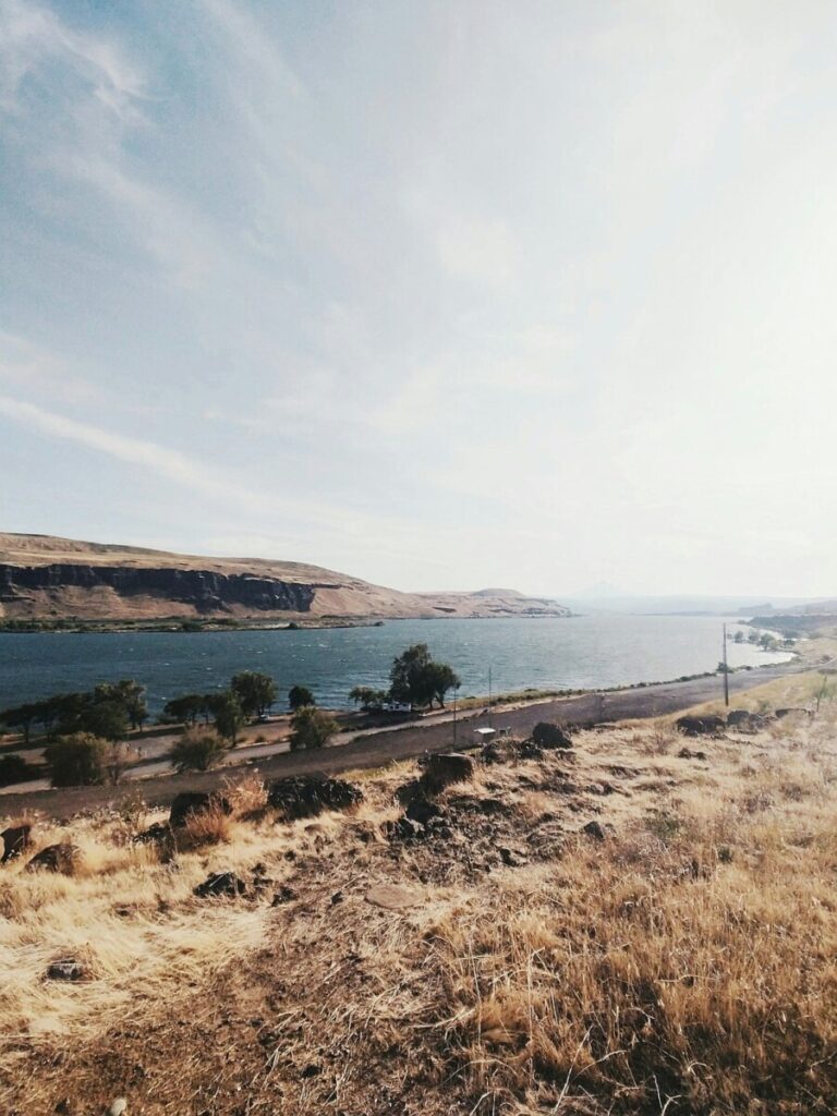 The Dogs of 8,000 B.C. Were Amazingly Diverse