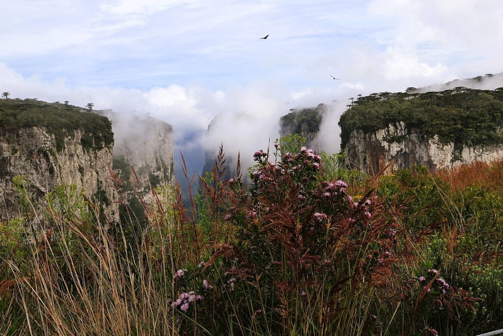 Do women need testosterone supplements?