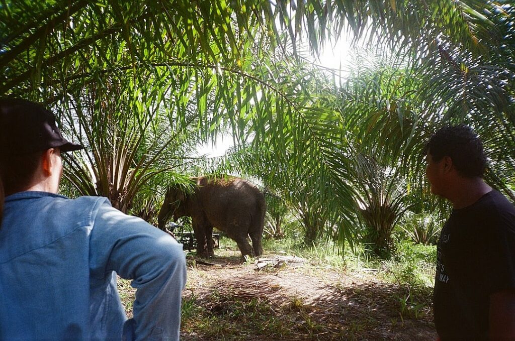 Is “All’s Fair” really the worst television drama ever made?