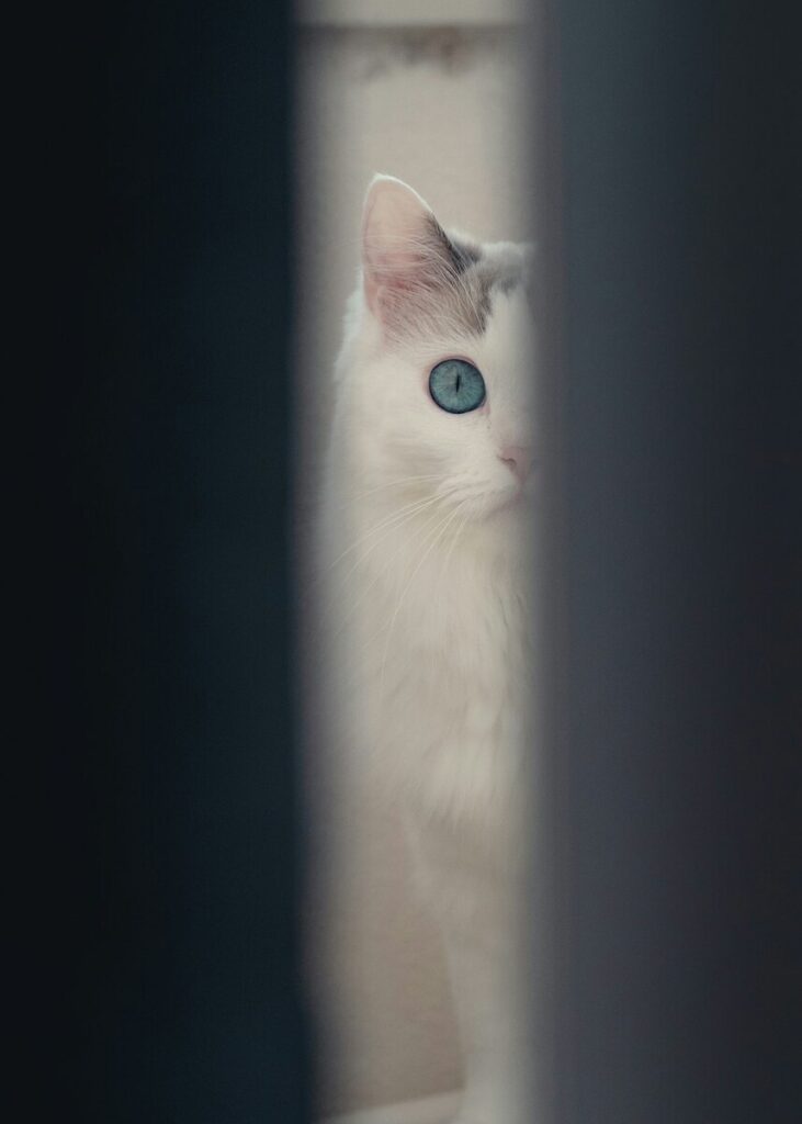 Interest rates will fall in 2026. But will bond yields fall, too?