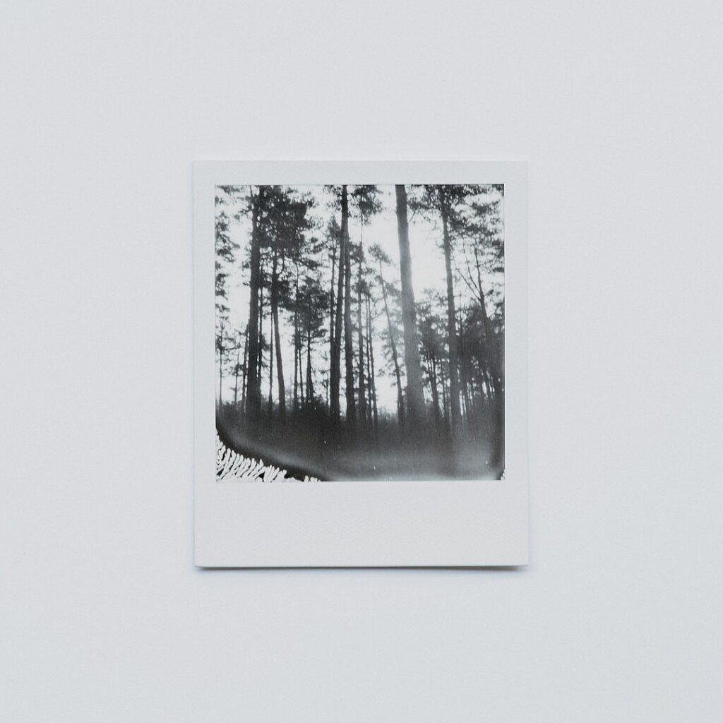 Now Wanted in Silicon Valley: Ho-Hum Businesses With Thin Profit Margins