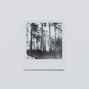 Now Wanted in Silicon Valley: Ho-Hum Businesses With Thin Profit Margins