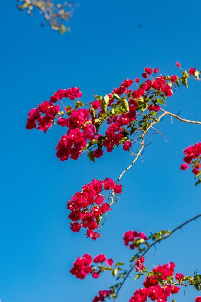 The US in brief: What is next with Epstein