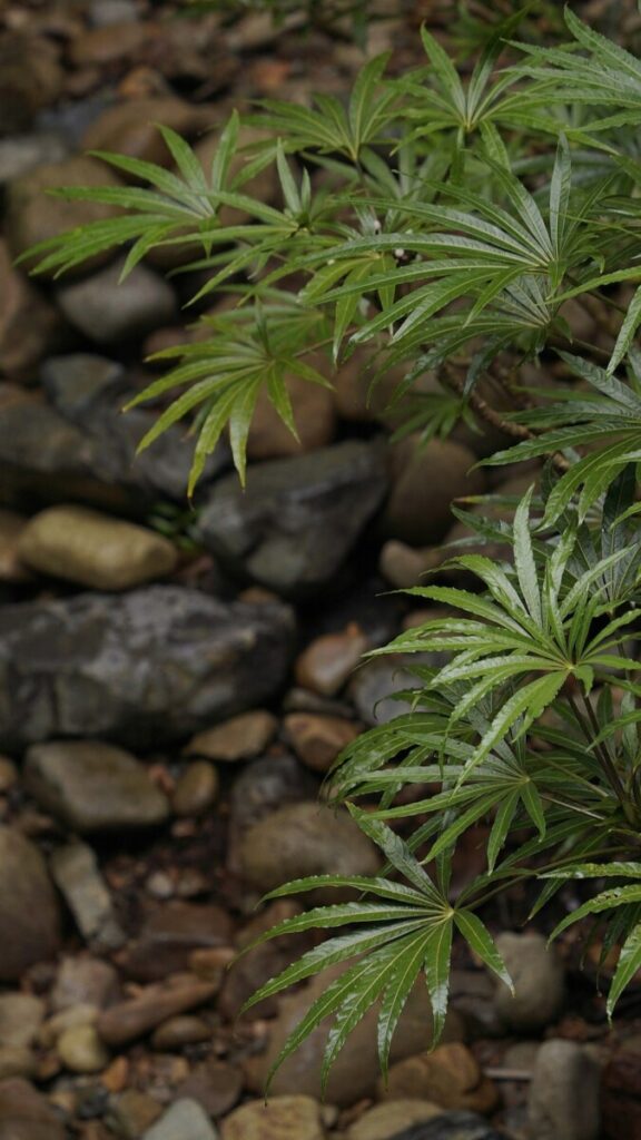 Global forces are pushing Britain and Europe closer together