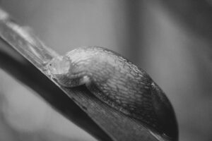 Libellous chatbots could be AI’s next big legal headache