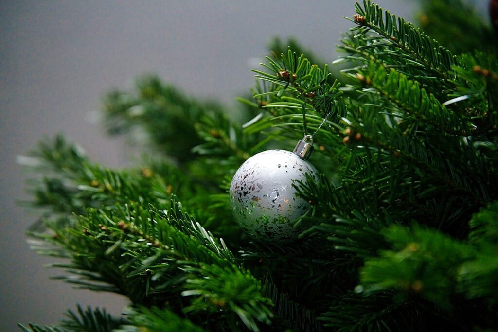 When is a Malaysian footballer not a Malaysian footballer?