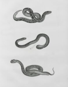 Libellous chatbots could be AI’s next big legal headache