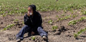 As US hunger rises, Trump administration’s ‘efficiency’ goals cause massive food waste