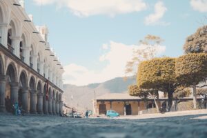 Guatemalan Black Howler Monkey