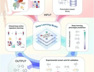 Active learning framework leveraging transcriptomics identifies modulators of disease phenotypes | Science