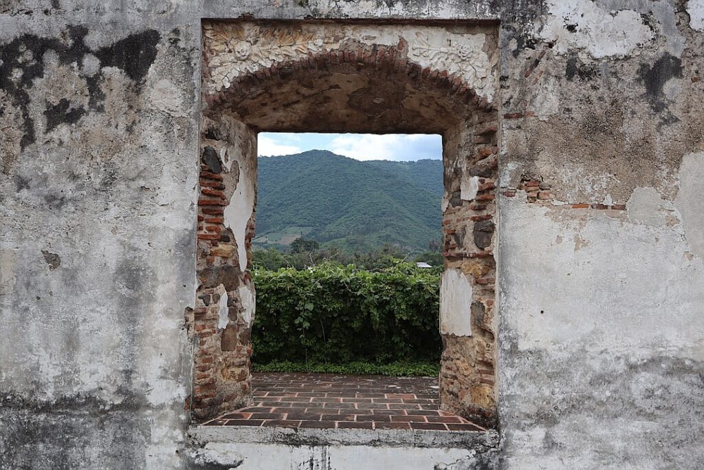 Guatemalan Black Howler Monkey