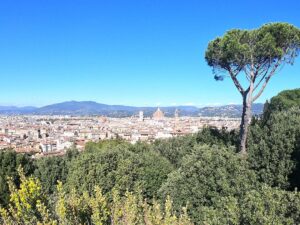 A Chinese firm attempts to bring a booster rocket back to Earth