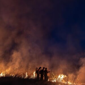 Tentative Signs of Hope as the Amazon Burns