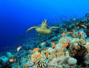 In Science Journals | Science