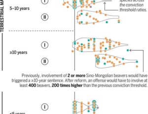 Toward science-based conviction criteria to deter wildlife crime | Science
