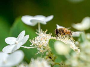 Mel Leipzig, Painter Called the ‘Chekhov of Trenton,’ Dies at 90