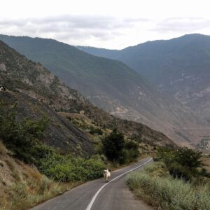 Fire Threatens Iran’s Ancient Forest, a World Heritage Site